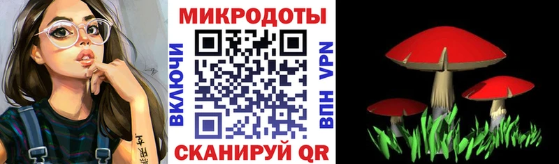 Галлюциногенные грибы Magic Shrooms  где можно купить наркотик  Купино 